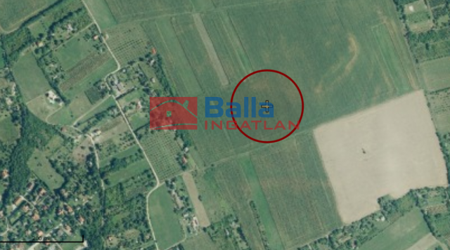 Balatonkenese - Külterület utca:  0 m²-es mezőgazdasági ingatlan   (4'900'000 ,- Ft)
