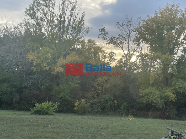 Eladó 817 m²-estelek Agárd, Agárd utca: 35'900'000 Ft