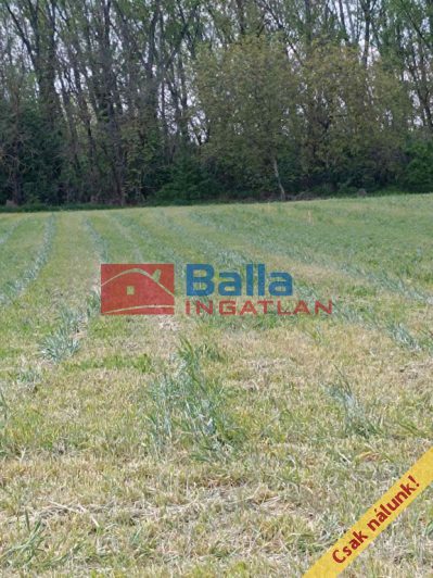 Eladó 950 m²-estelek Áporka, Petőfi utca: 22'500'000 Ft