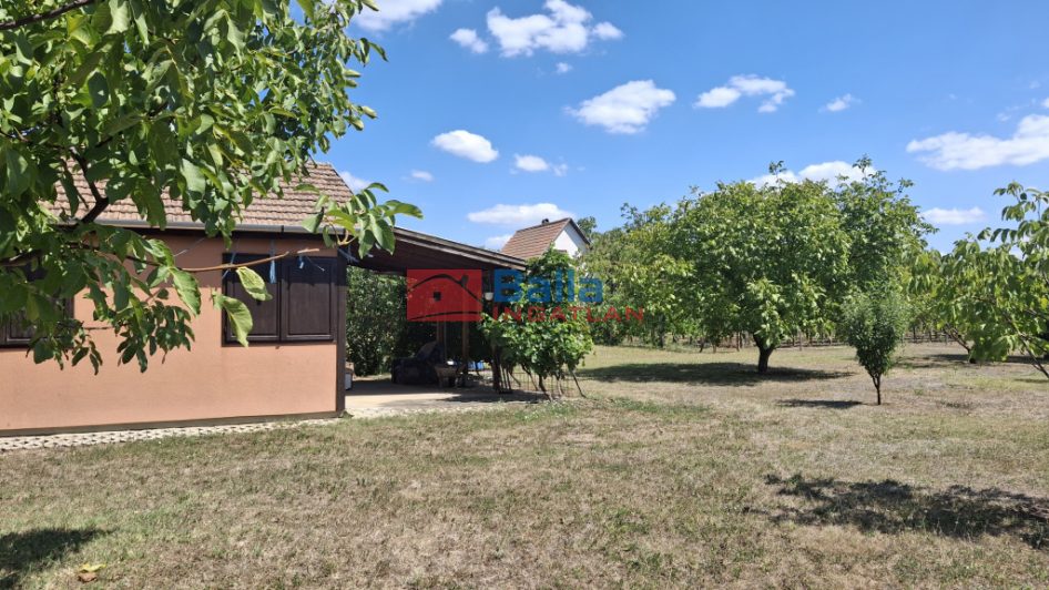 Eladó 1502 m²-esmezőgazdasági ingatlan Balatonszabadi, Külsőhegy: 25'900'000 Ft