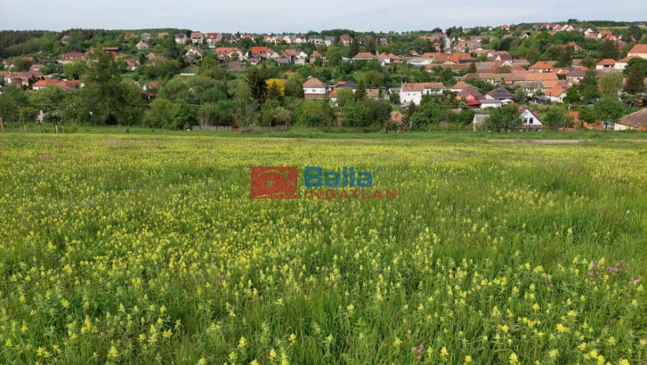 Eladó 1949 m²-estelek Berkenye, Bérc utca: 26'400'000 Ft