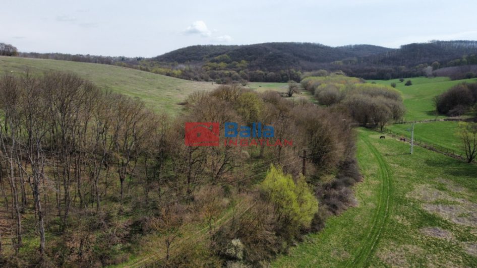 Eladó 22721 m²-esmezőgazdasági ingatlan Berkenye, Külterület utca: 17'949'000 Ft