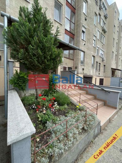 Eladó 55 m²-estársasházi lakás IV. Kerület (Izzó lakótelep) , Izzó lakótelepen AZONNAL költözhető lakás: 59'900'000 Ft