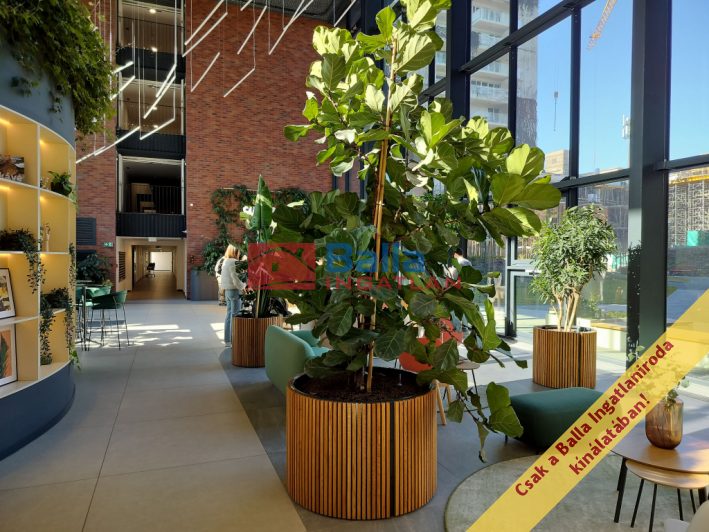 IX. Kerület (Középső Ferencváros (Rehabilitációs terület)) - Vágóhíd utca:  38 m&sup2;-es társasházi lakás   (86'000'000 ,- Ft)