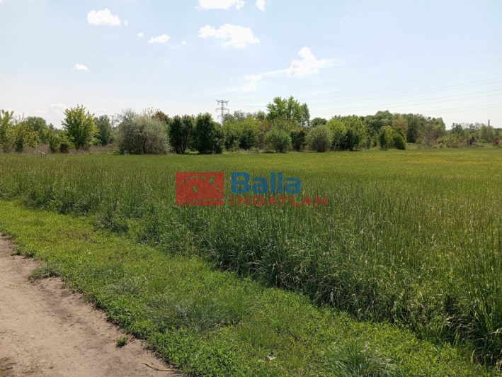 X. Kerület (Felsőrákos) - Pilisi utca:  3917 m&sup2;-es telek   (59'900'000 ,- Ft)