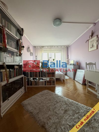 XI. Kerület (Kelenföld) - Allende park:  48 m&sup2;-es társasházi lakás   (76'000'000 ,- Ft)