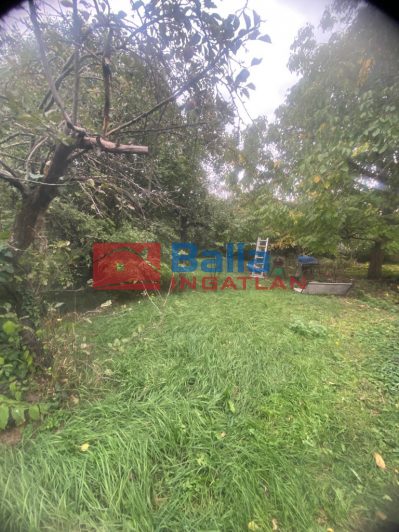 XV. Kerület (Rákospalota) - Pázmány Péter utca:  565 m&sup2;-es telek   (44'500'000 ,- Ft)