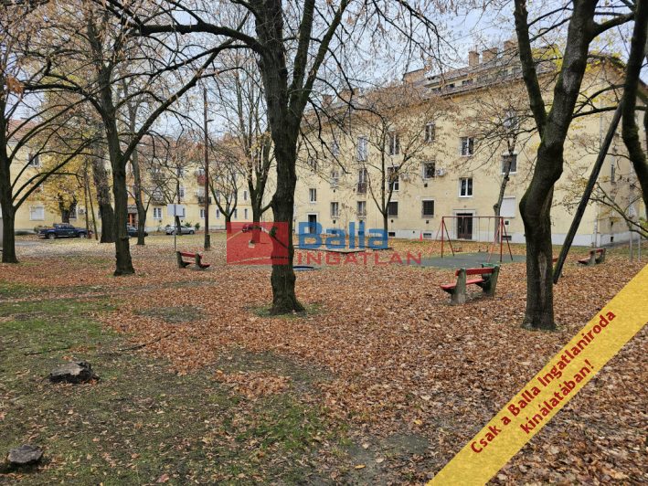 Eladó 34 m²-estársasházi lakás XV. Kerület (Rákospalota) , Törökszegfű tér: 47'500'000 Ft