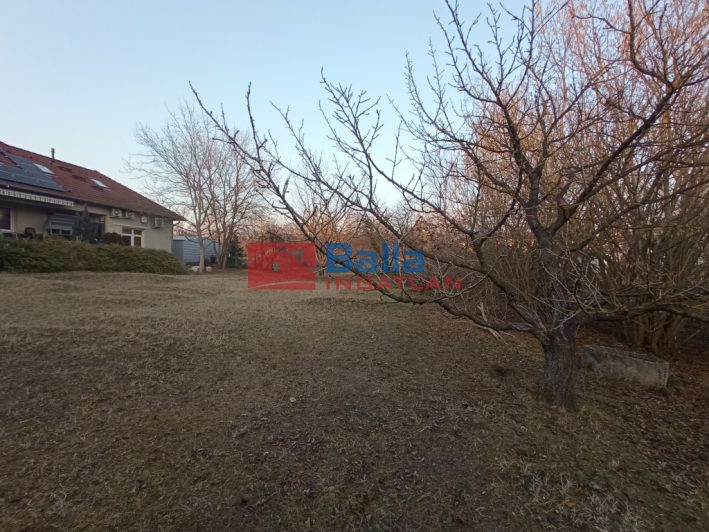 XVI. Kerület (Cinkota) - Lucernás u. környékén:  962 m&sup2;-es telek   (109'000'000 ,- Ft)