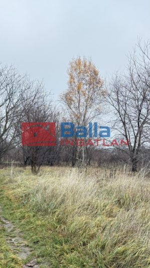 XVII. Kerület (Rákoscsaba Újtelep) - Kopolya utca:  1010 m&sup2;-es telek   (11'900'000 ,- Ft)