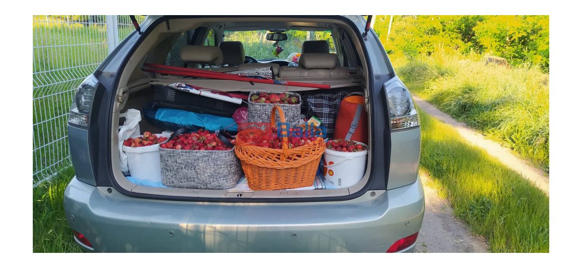 XVII. Kerület (Rákoshegy) - Rákoshegy csendes mellékutcában található utca:  1000 m&sup2;-es telek   (140'000 ,- Ft)