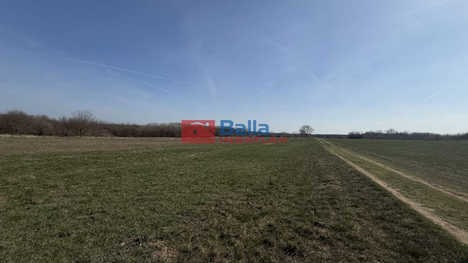 XVII. Kerület (Rákoshegy) - reptér közeli utca:  1000 m&sup2;-es telek   (5'900'000 ,- Ft)