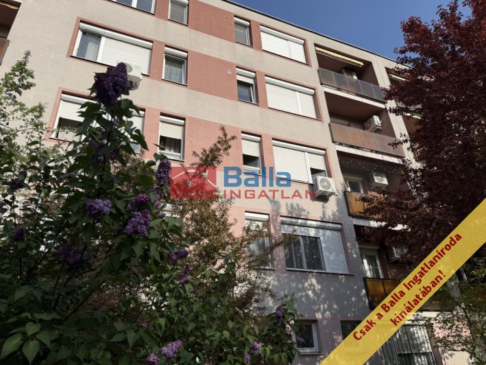 Eladó 55 m²-estársasházi lakás XXI. Kerület (Belváros (Városközpont)) , Templom utca: 59'900'000 Ft