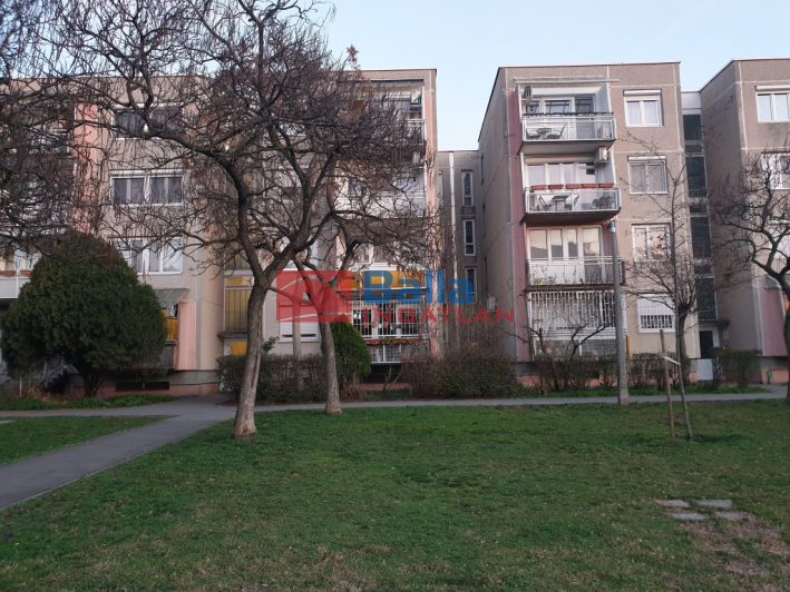 XXI. Kerület (Erdőalja) - Nyírfa utca:  54 m&sup2;-es társasházi lakás   (180'000 ,- Ft)