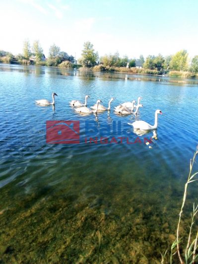 Eladó 145 m²-esüdülő Délegyháza (Délegyháza) , Bányász sor: 164'900'000 Ft