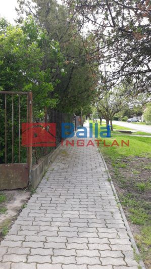 Eladó 1571 m²-estelek Dinnyés, Alkotmány utca: 25'000'000 Ft