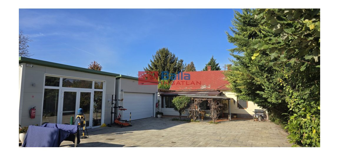 Eladó 883 m²-esegyéb üzlethelyiség Felsőpakony, Rákóczi utca: 134'000'000 Ft