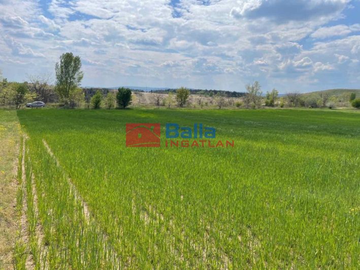 Eladó 28770 m²-esmezőgazdasági ingatlan Fót, Fót- Kisalag: 24'900'000 Ft