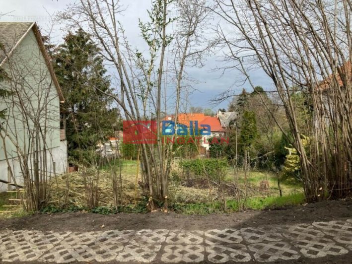 Eladó 876 m²-estelek Fót, Vörösmarty utca: 44'900'000 Ft