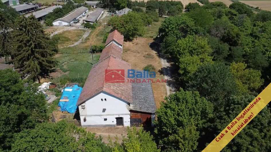 Eladó 1795 m²-esmezőgazdasági ingatlan Galgagyörk, Belterület: 20'000'000 Ft