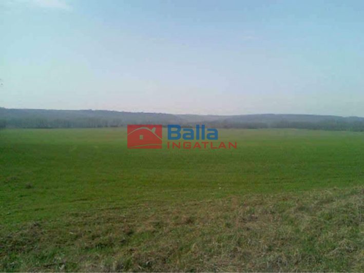 Eladó 70000 m²-esmezőgazdasági ingatlan Isaszeg, Isaszeg külterület utca: 35'000'000 Ft