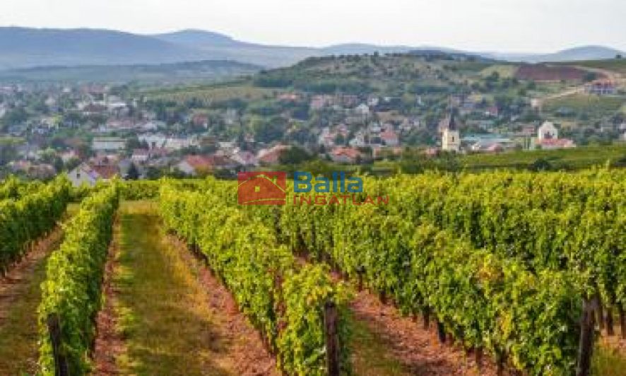 Eladó 97 m²-escsaládi ház Mád, . utca: 35'000'000 Ft