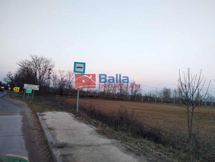 Eladó 35000 m²-esmezőgazdasági ingatlan Majosháza, Kapitány tanya: 39'000'000 Ft