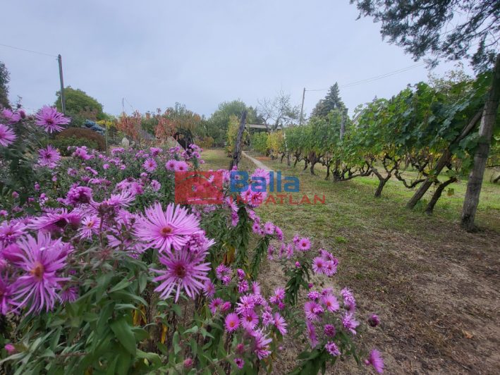 Eladó 597 m²-estelek Mogyoród, HÉV-állomás környéke: 44'900'000 Ft