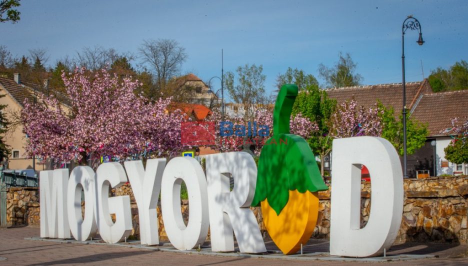 Eladó 1439 m²-estelek Mogyoród, Pacsirta utca: 18'000'000 Ft