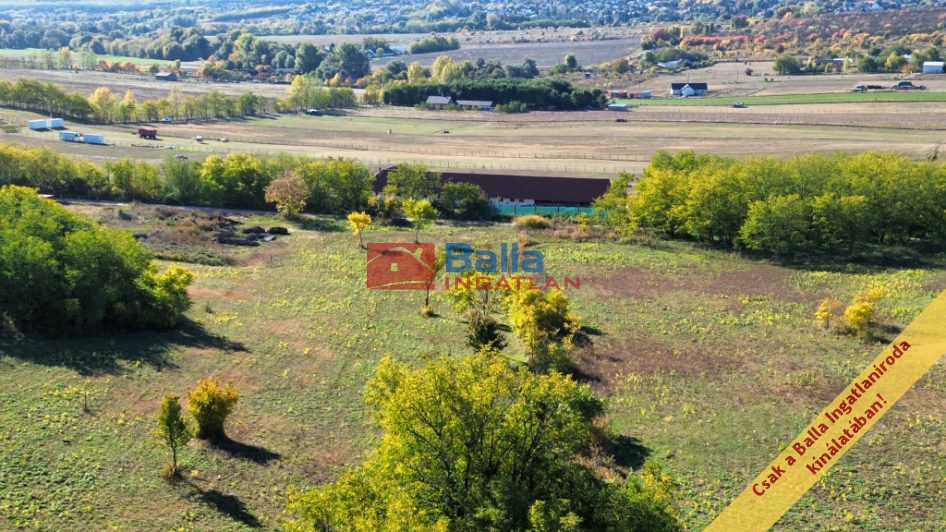 Eladó 11091 m²-estelek Őrbottyán, nincs utca: 24'500'000 Ft