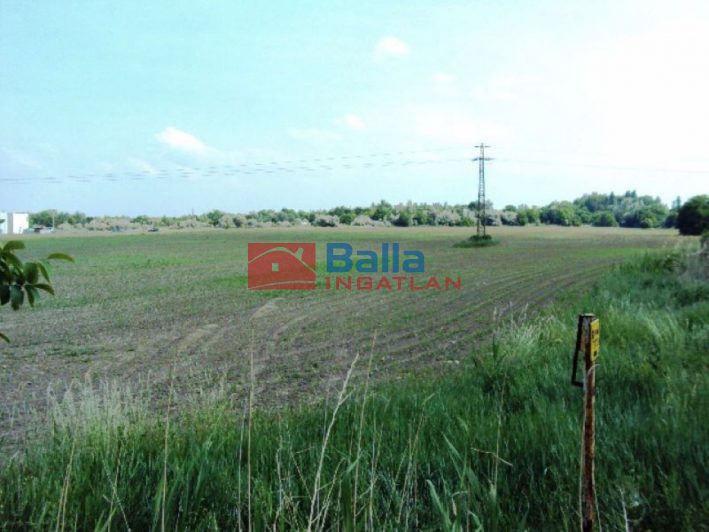 Eladó 75557 m²-esmezőgazdasági ingatlan Pákozd, Fehérvári utca: 226'671'000 Ft