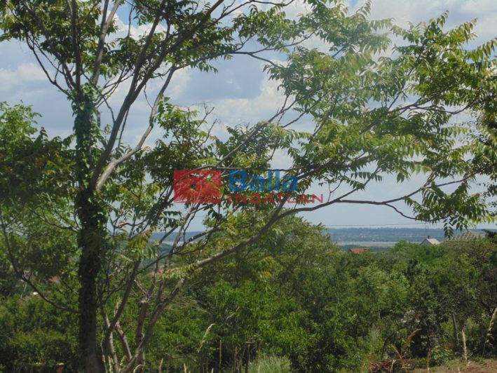 Eladó 1432 m²-estelek Pákozd, Szegfű utca: 12'000'000 Ft