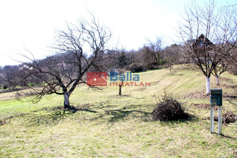 Eladó 1490 m²-estelek Pázmánd, Szőlőhegy utca: 7'499'000 Ft