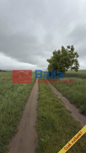 Eladó 6088 m²-estelek Pécel, Városközpont közeli utca: 5'800'000 Ft