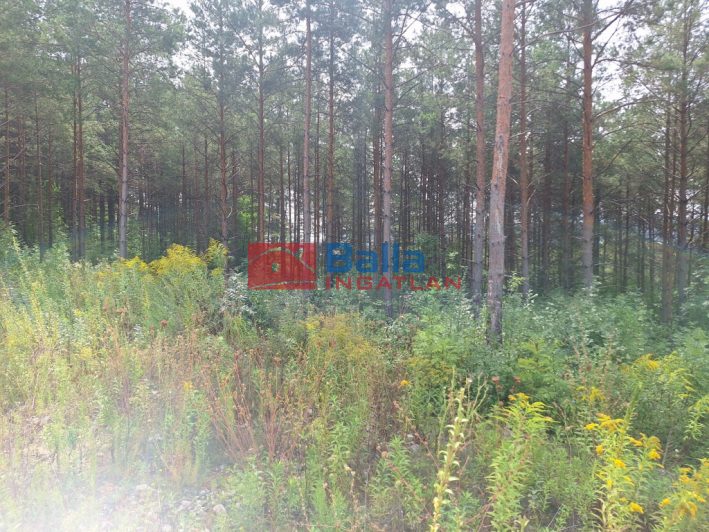 Eladó 800 m²-estelek Pilis, Pilisborosjenő utca: 44'900'000 Ft