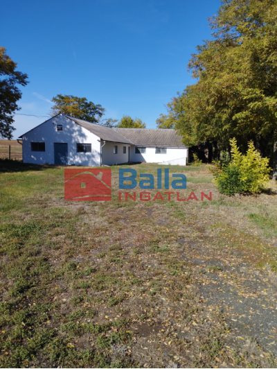 Eladó 5899 m²-esmezőgazdasági ingatlan Pincehely, Fő út közeli utca: 40'000'000 Ft