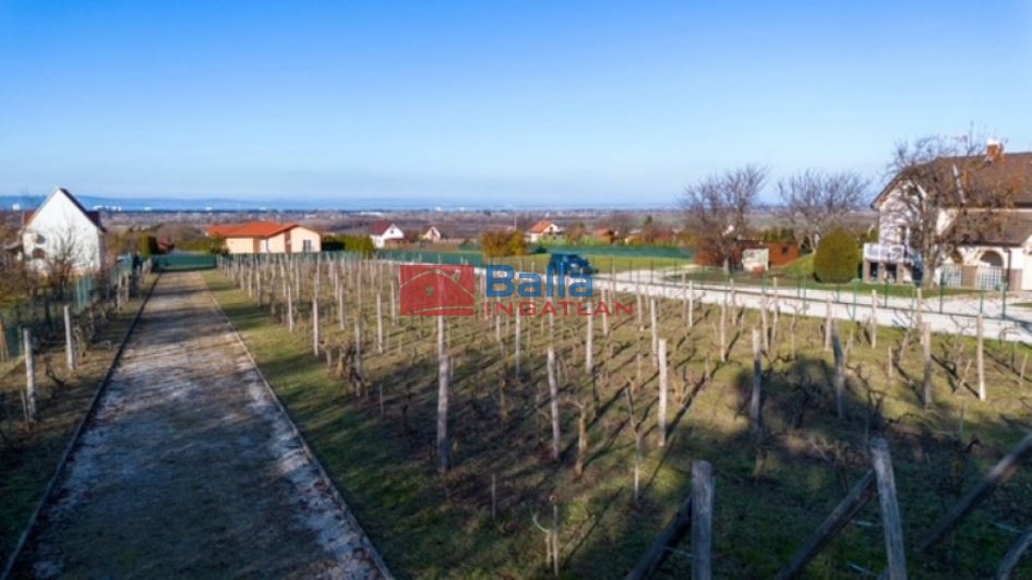 Siófok (Kiliti) - Csillaghegyi út:  3147 m&sup2;-es telek   (31'900'000 ,- Ft)