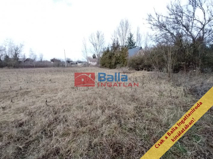 Szigetszentmiklós - Czuczor sziget:  801 m&sup2;-es telek   (22'000'000 ,- Ft)