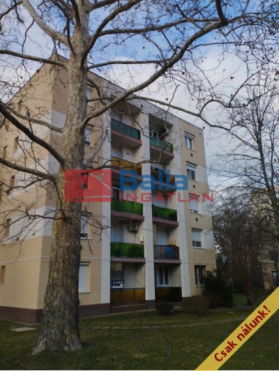 Szigetszentmiklós - Központ közeli utca:  53 m&sup2;-es társasházi lakás   (51'900'000 ,- Ft)