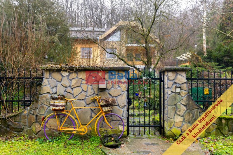 Eladó 243 m²-escsaládi ház Szokolya, TÖRÖK PATAK utca: 225'000'000 Ft
