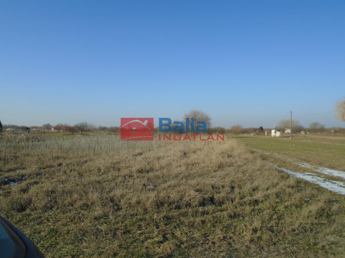 Tiszakécske - Virághegy utca:  0 m&sup2;-es mezőgazdasági ingatlan   (800'000 ,- Ft)