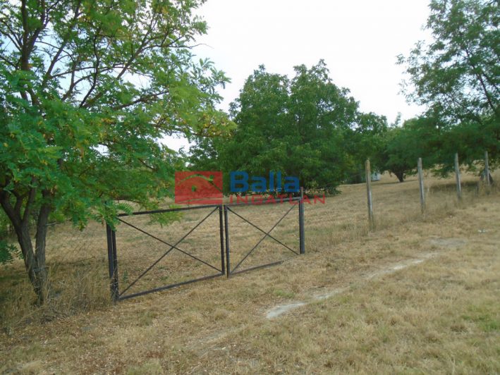 Eladó 2858 m²-estelek Tiszaug, Arany János út: 8'500'000 Ft