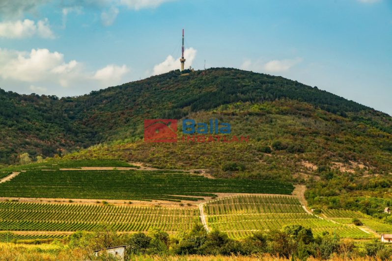 Eladó 45864 m²-estelek Tokaj, külterület: 62'000'000 Ft