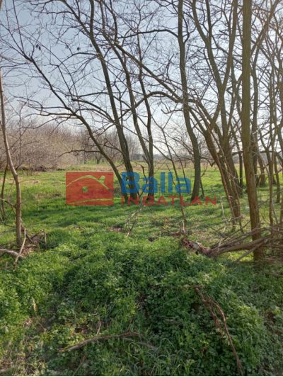 Tököl - hrsz034/61 utca:  8000 m&sup2;-es telek   (99'000'000 ,- Ft)