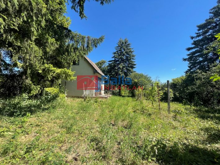 Eladó 4406 m²-estelek Vác, Felső-Törökhegy út: 85'917'000 Ft