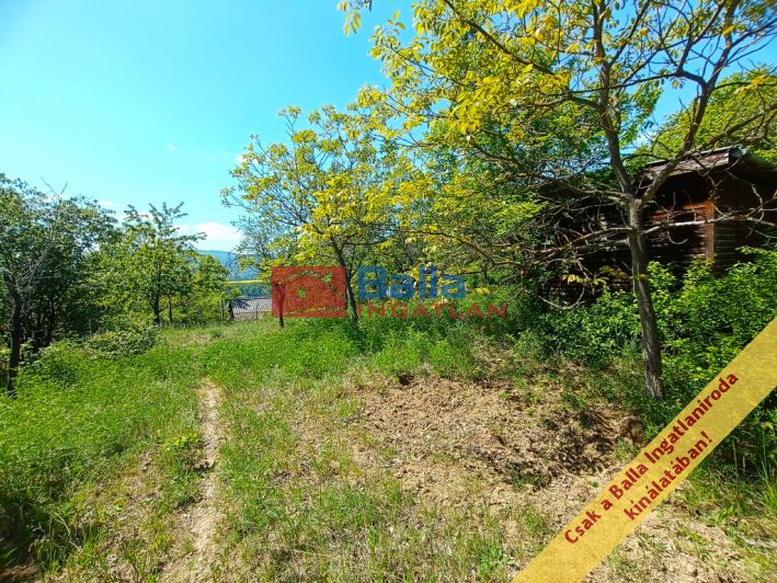 Eladó 949 m²-esmezőgazdasági ingatlan Verőce, Névtelen utca: 22'000'000 Ft