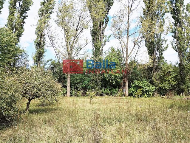 Biatorbágy - Füzes patak közelében utca:  400 m²-es családi ház   (240'000'000 ,- Ft)