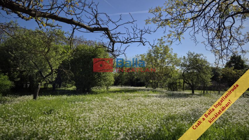 XXII. Kerület (Nagytétény Óhegy) - Diótörő utca:  59 m²-es családi ház   (70'000'000 ,- Ft)