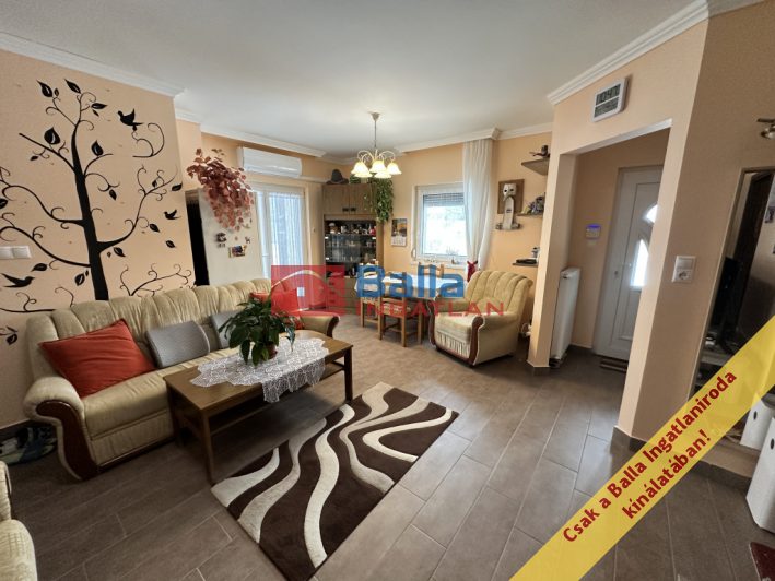 Dabas - Újszerű:  82 m&sup2;-es családi ház   (79'900'000 ,- Ft)