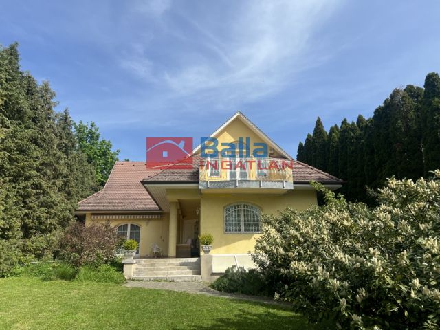 Leányfalu - Móricz Zsigmond közeli utca:  410 m²-es családi ház